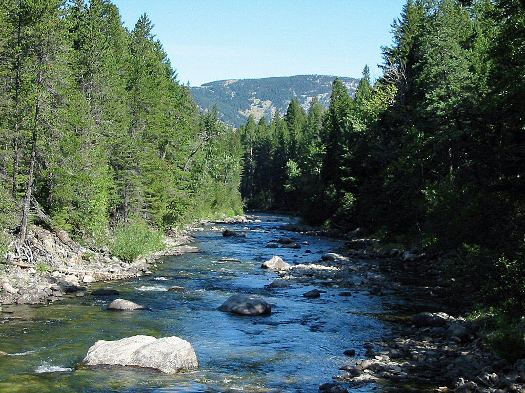The Boulder River in Montana : Fly Fishing Information, Photos, & Detailed  Guide