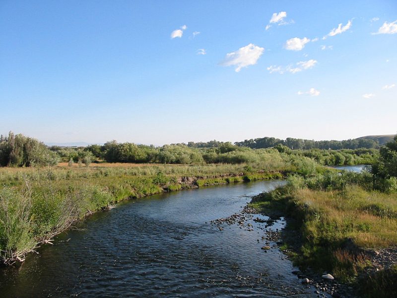 The Clark Fork in Montana | Detailed Fly Fishing & Floating Guide