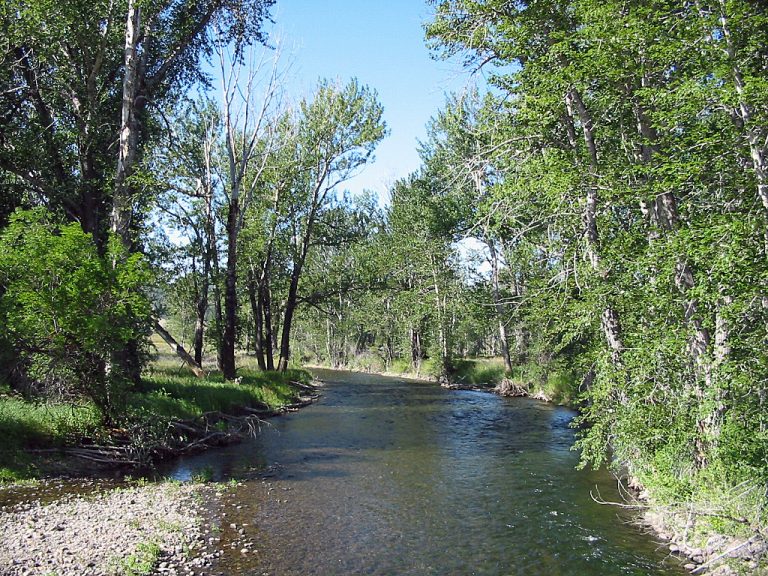 Little Blackfoot River | Detailed Fly Fishing & Floating Guide