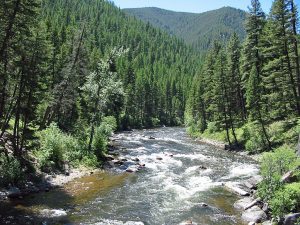 Rock Creek in Montana | Detailed Fly Fishing & Floating Guide