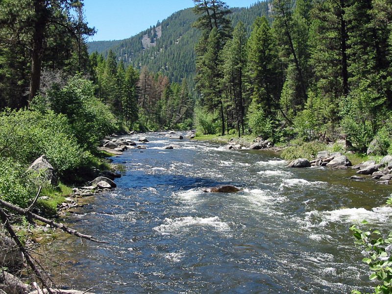 Rock Creek in Montana  Detailed Fly Fishing & Floating Guide