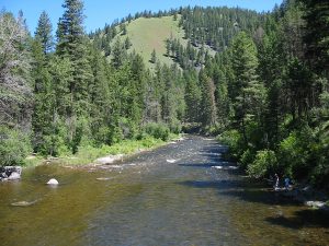 Rock Creek in Montana | Detailed Fly Fishing & Floating Guide