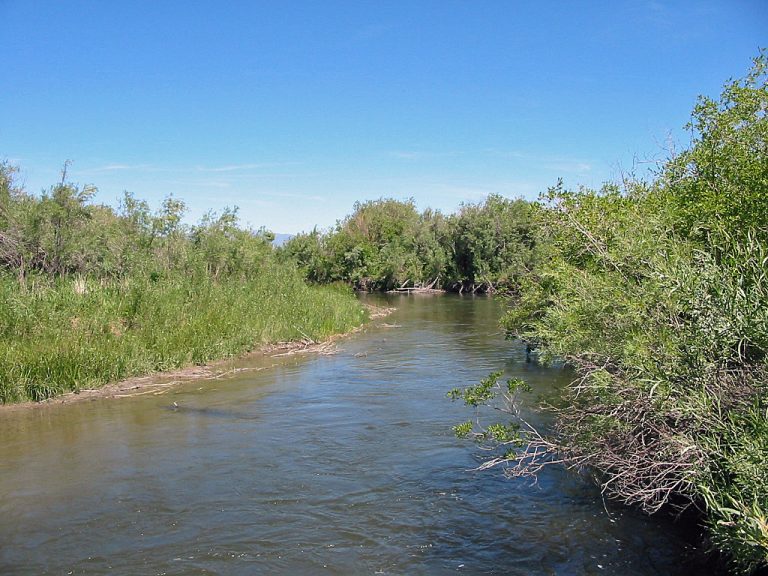 The Ruby River in Montana | Detailed Fly Fishing & Floating Guide