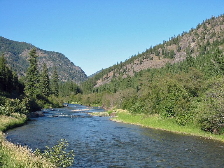 The Thompson River in Montana | Fishing & Paddling Information