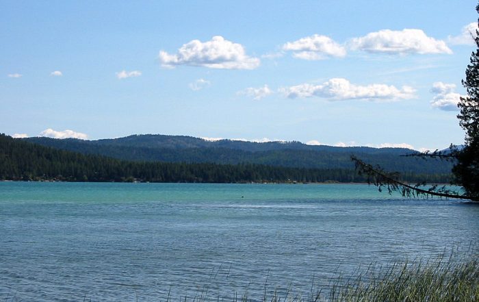 Ashley Lake in Montana | Detailed Fishing Guide & Information